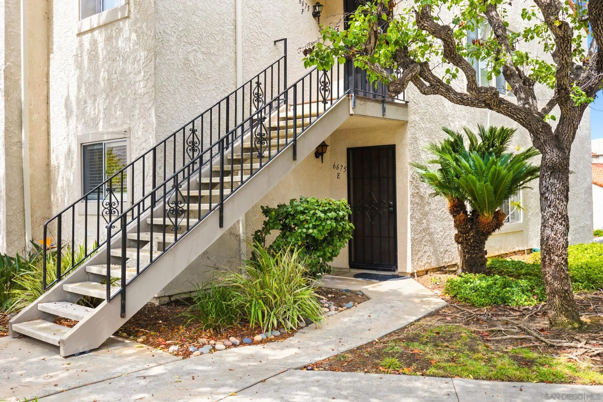 6675 Paseo Del Norte E