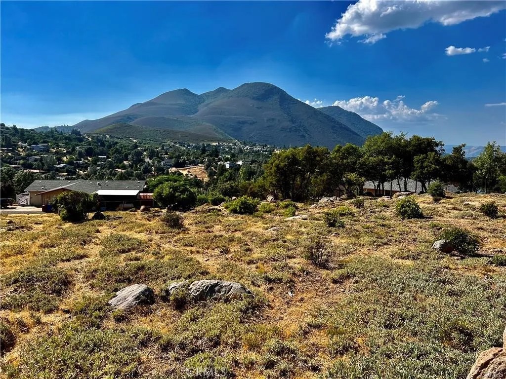 5010 Larkspur