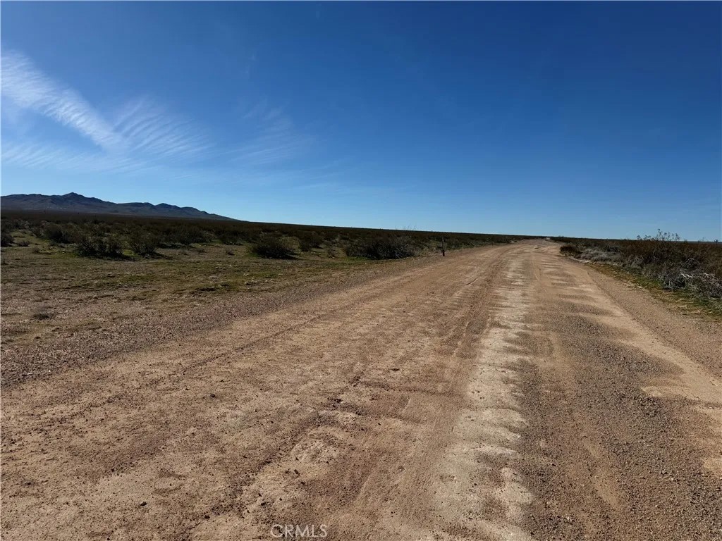 111 Buckthorne Canyon