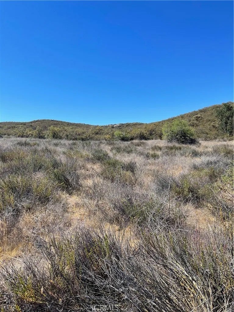 20 Stier