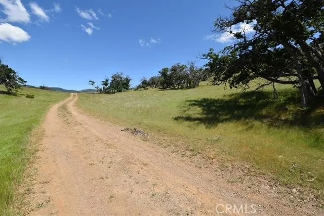 0 Yellow Dog Trail
