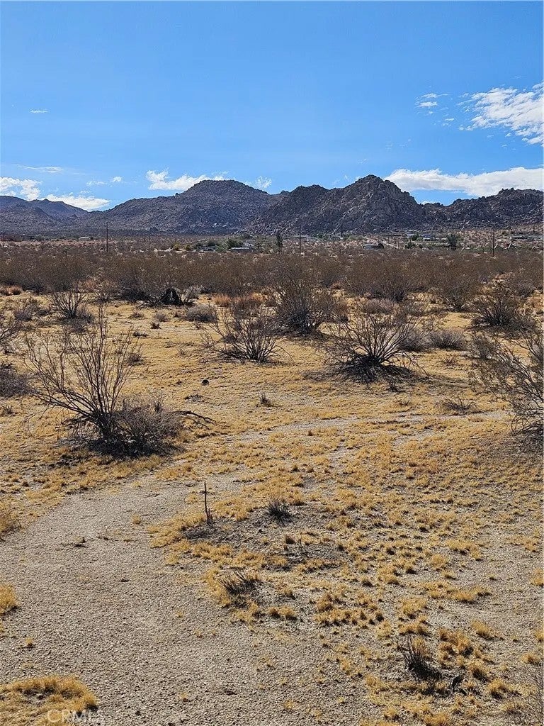 0 Twentynine Palms
