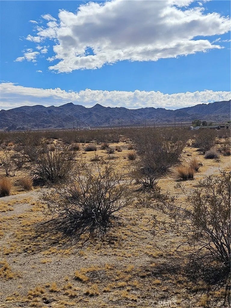 0 Twentynine Palms