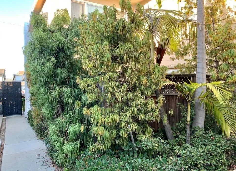 Photo of 1222 Amethyst Street #B, Redondo Beach, CA 90277 (MLS # SB26216479)