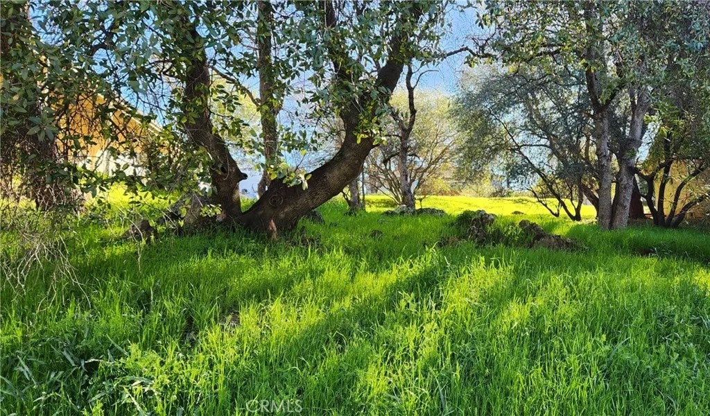 0 La Foret