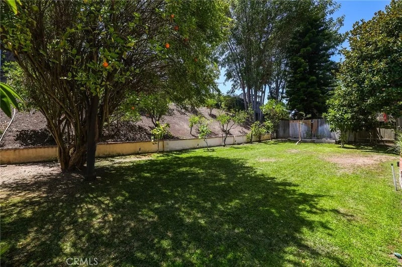 26612 Saddleback