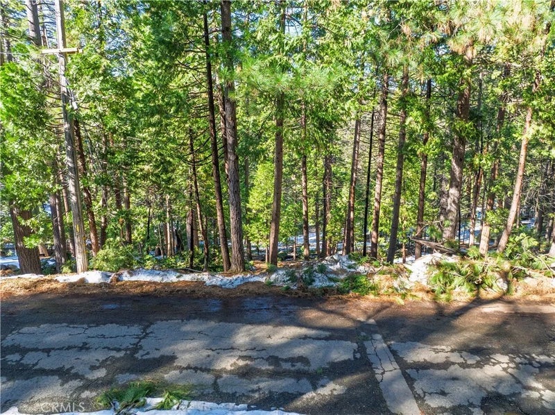 1803 Evergreen