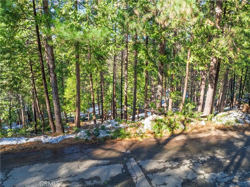 1803 Evergreen