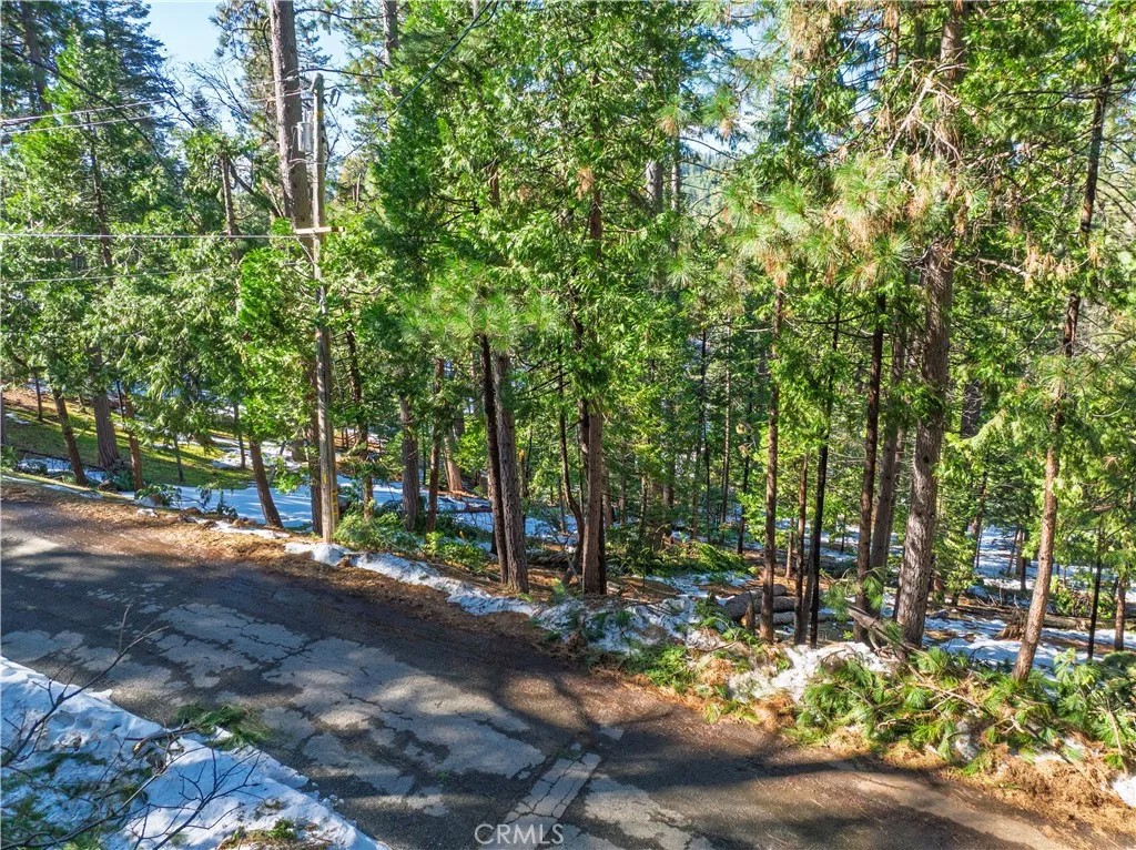 1803 Evergreen