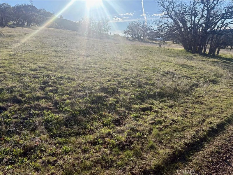 0 Yellow Dog Trail
