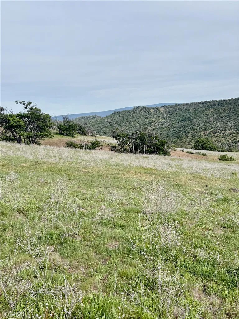 0 Yellow Dog Trail