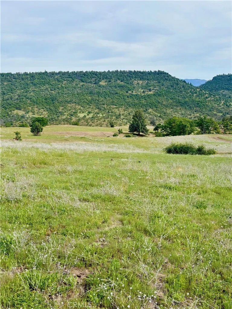 0 Yellow Dog Trail