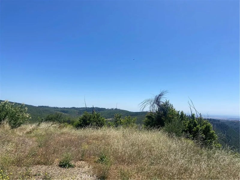 3510 Stone Mountain