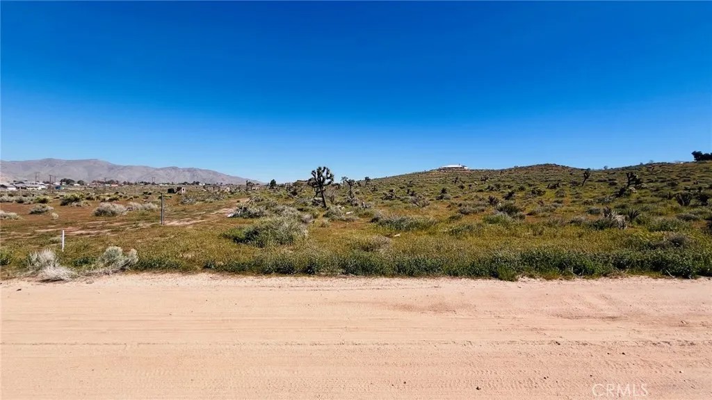 10233 Cerra Vista