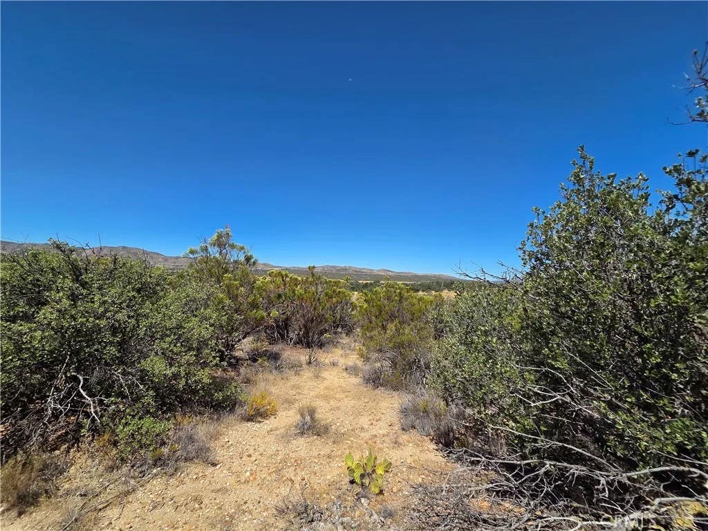 Photo of 1 Terwilliger, Anza, CA 92539 (MLS # SW26157883)