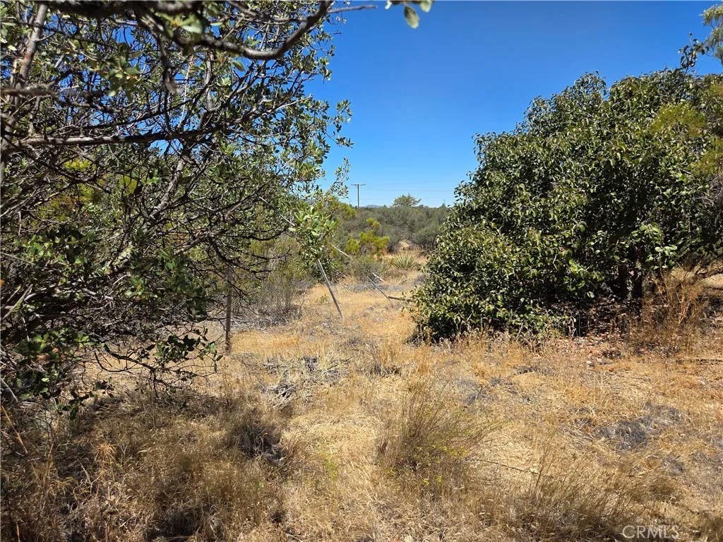 Photo of 1 Terwilliger, Anza, CA 92539 (MLS # SW26157883)