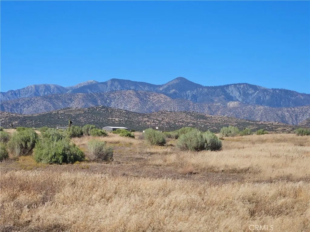 Photo of 0 Mesquite, Phelan, CA 92371 (MLS # CV26204736)