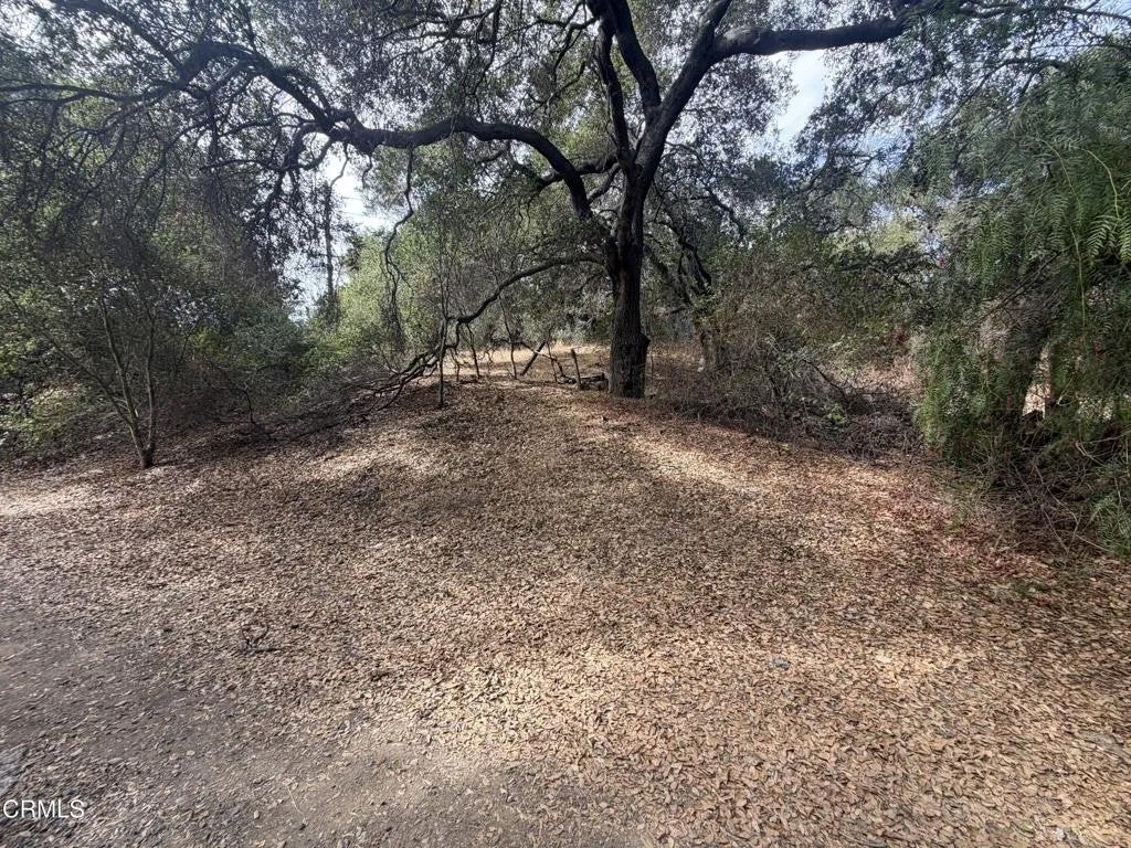 Photo of 0 Apn #0310070240, Oak View, CA 93022 (MLS # V1-39334)