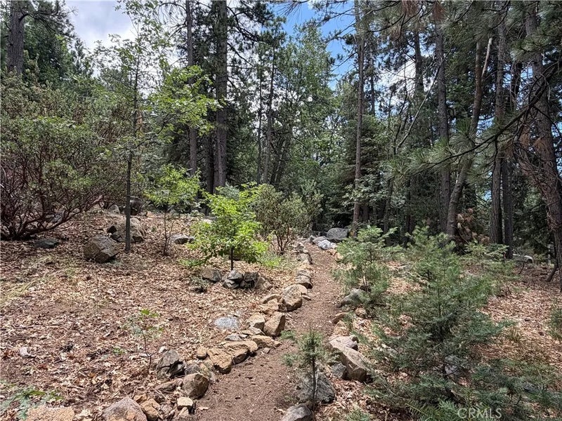 6212 Oak