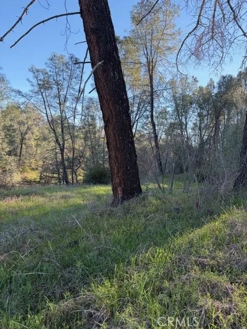 7098 Corral