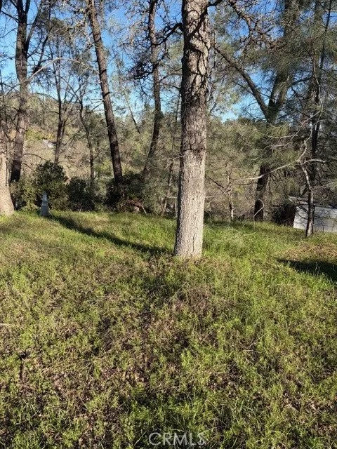 7098 Corral