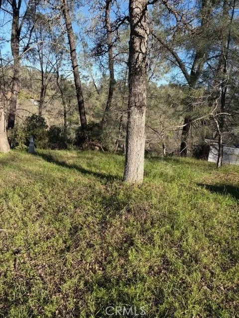 7098 Corral