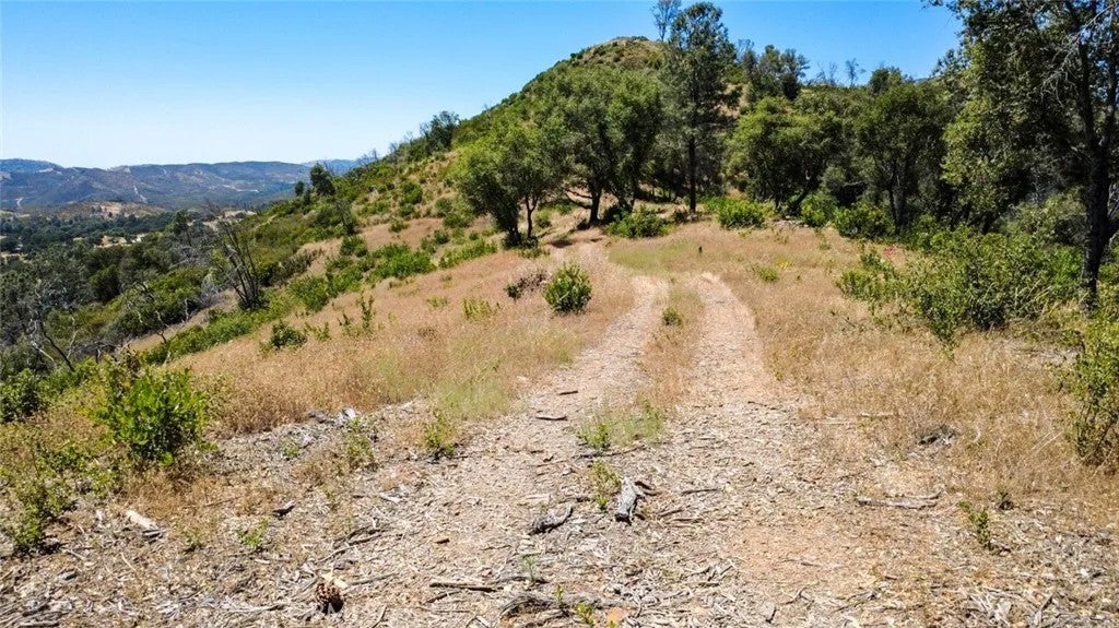 0 Bumguardner Mtn. Road