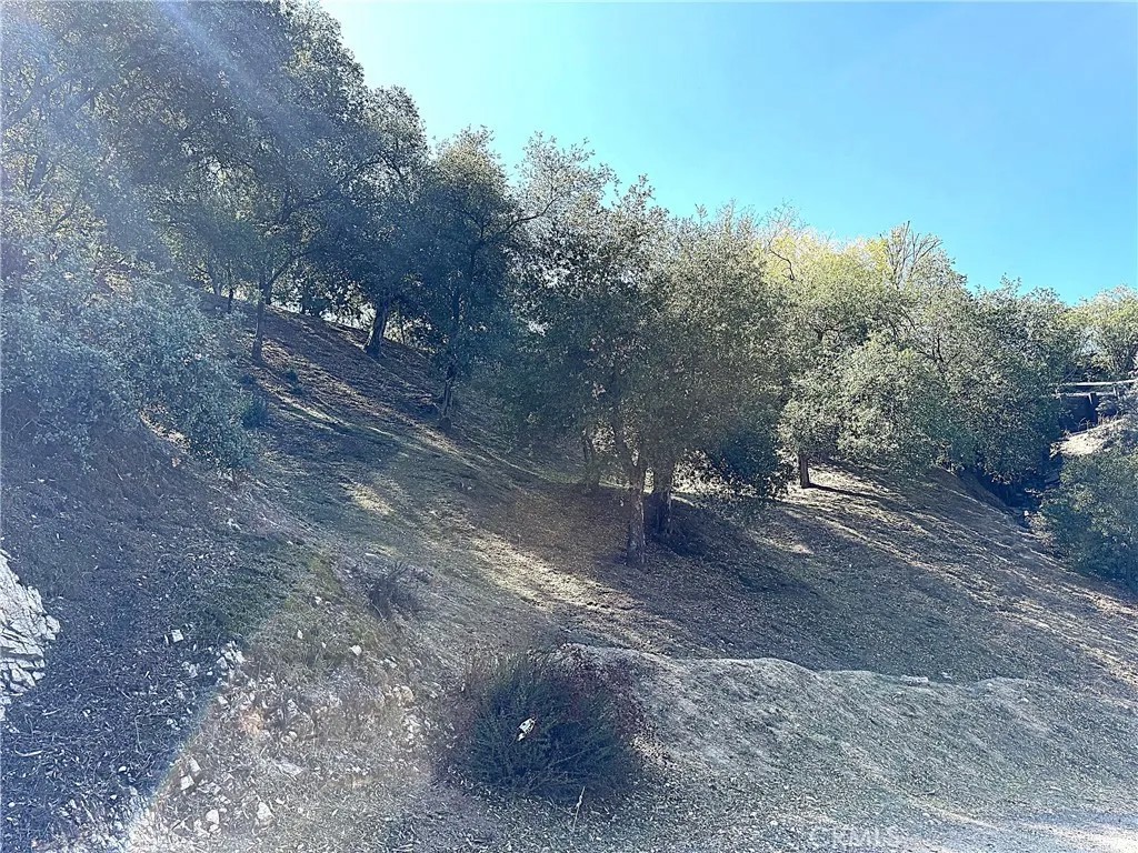 0 High Cliff Trail