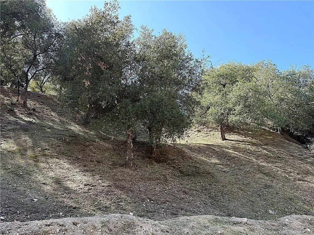 0 High Cliff Trail