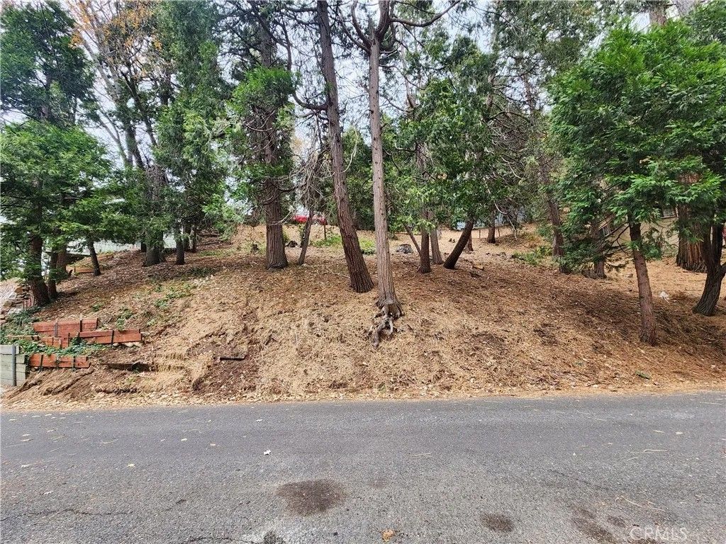 Photo of 0 Horst, Crestline, CA 92325 (MLS # IG25272505)