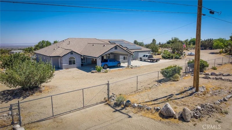1220 Smoke Tree