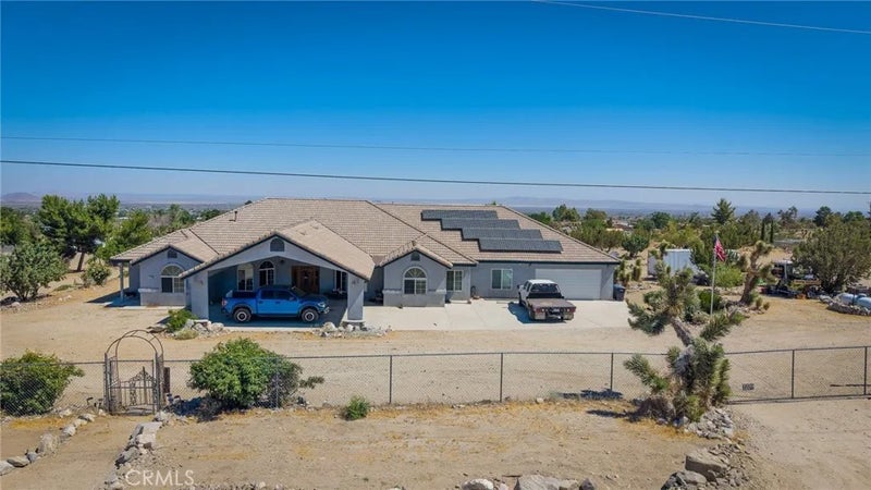 1220 Smoke Tree