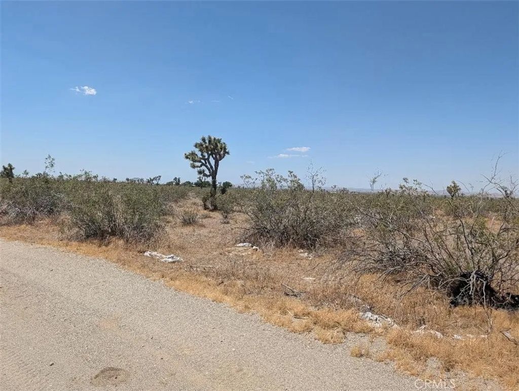 Photo of 6 Dos Palmas, Pinon Hills, CA 92372 (MLS # IV26112660)