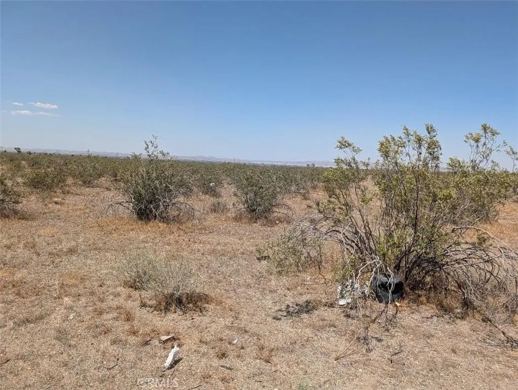 Photo of 6 Dos Palmas, Pinon Hills, CA 92372 (MLS # IV26112660)
