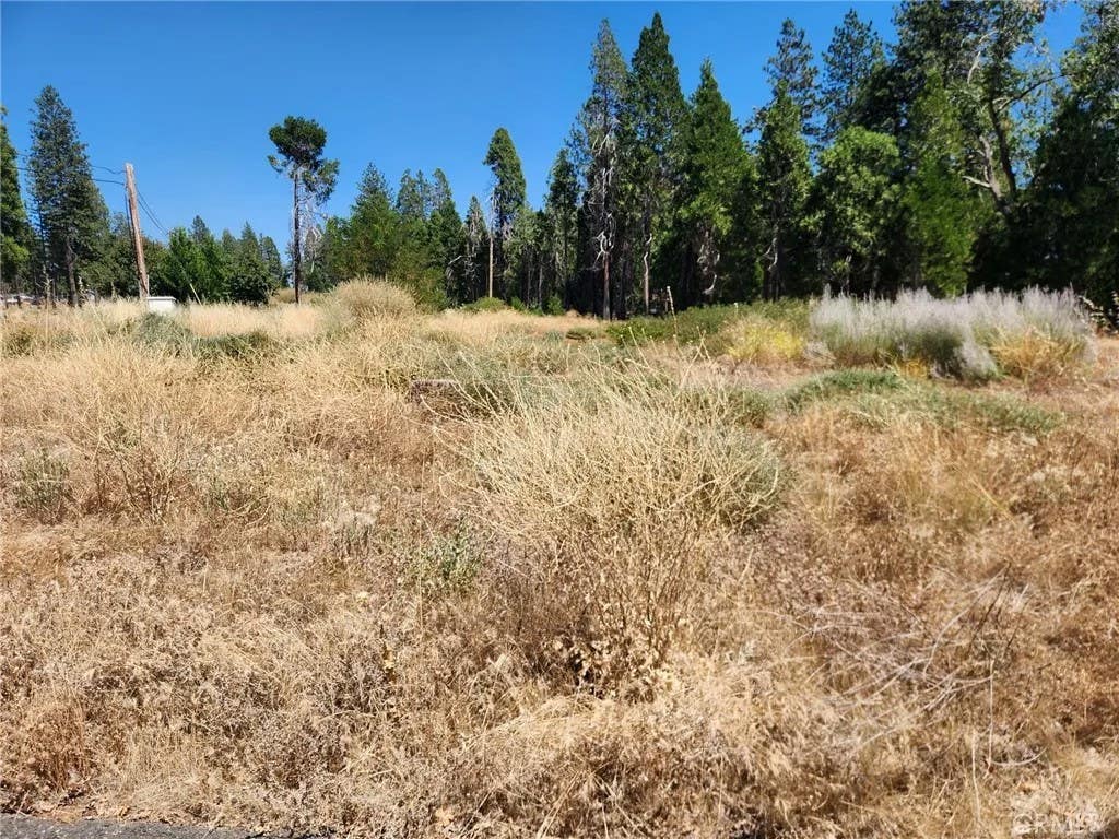 Photo of 6307 Glendale Dr, Magalia, CA 95954 (MLS # SN26176028)