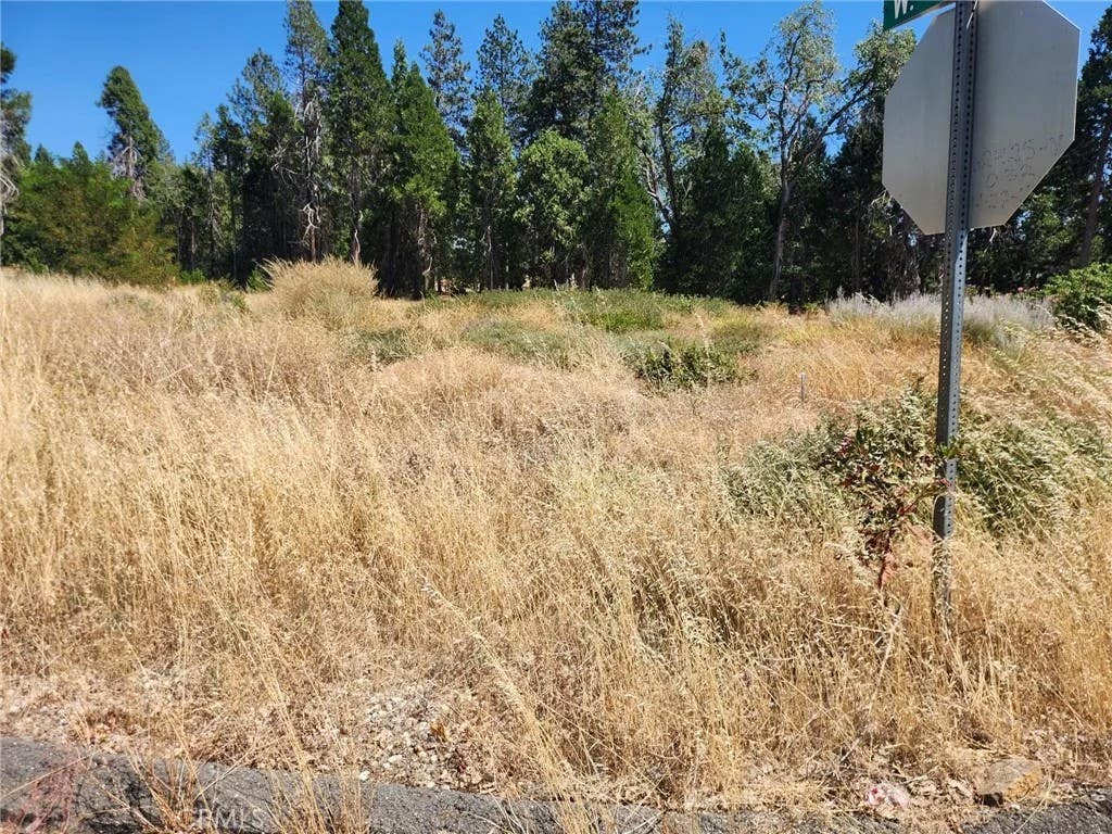 Photo of 6307 Glendale Dr, Magalia, CA 95954 (MLS # SN26176028)