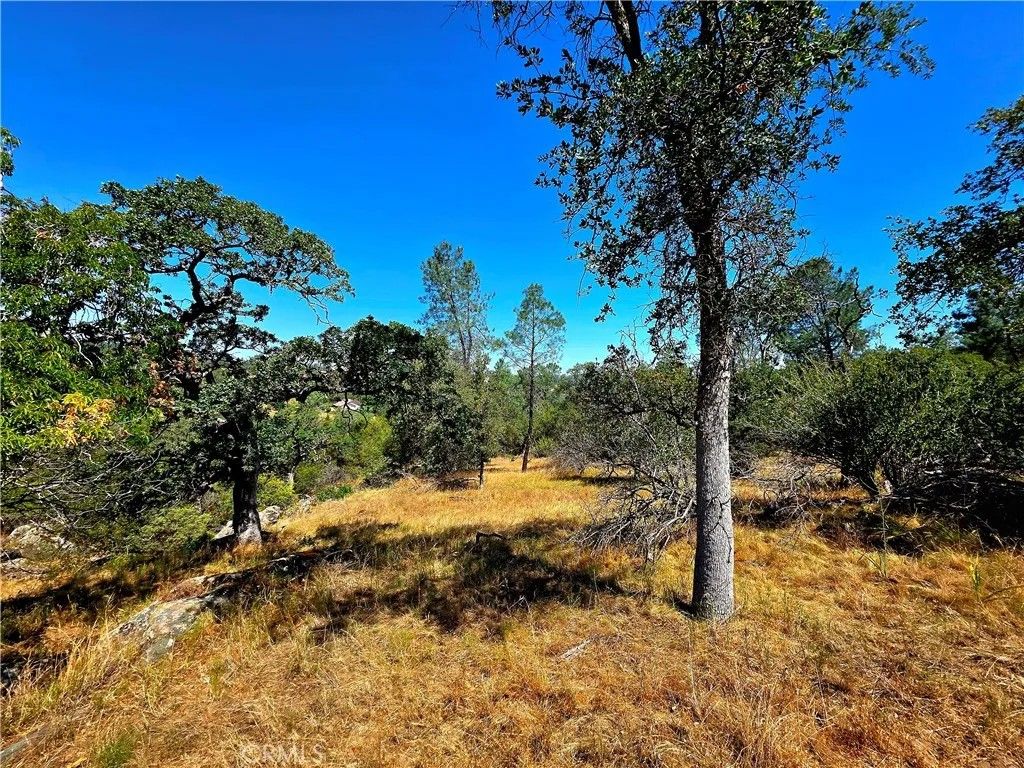 Photo of 2 Corral, Coarsegold, CA 93614 (MLS # FR26113187)
