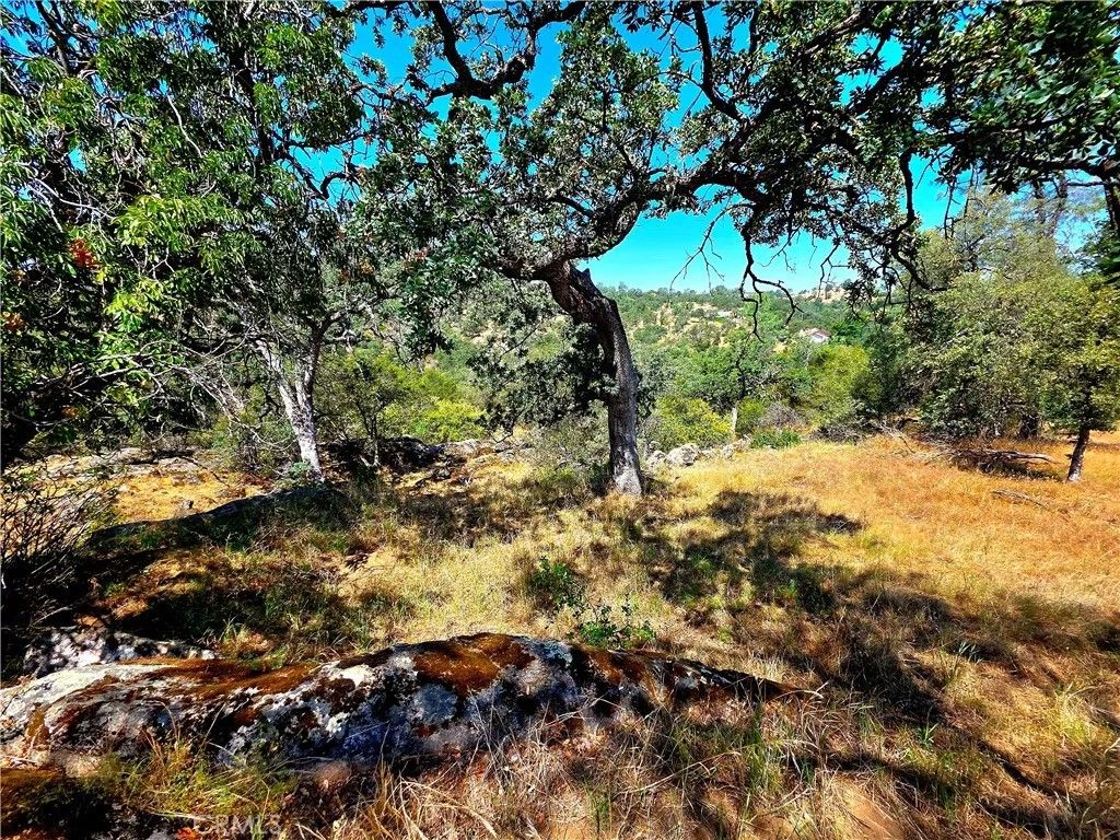 Photo of 2 Corral, Coarsegold, CA 93614 (MLS # FR26113187)