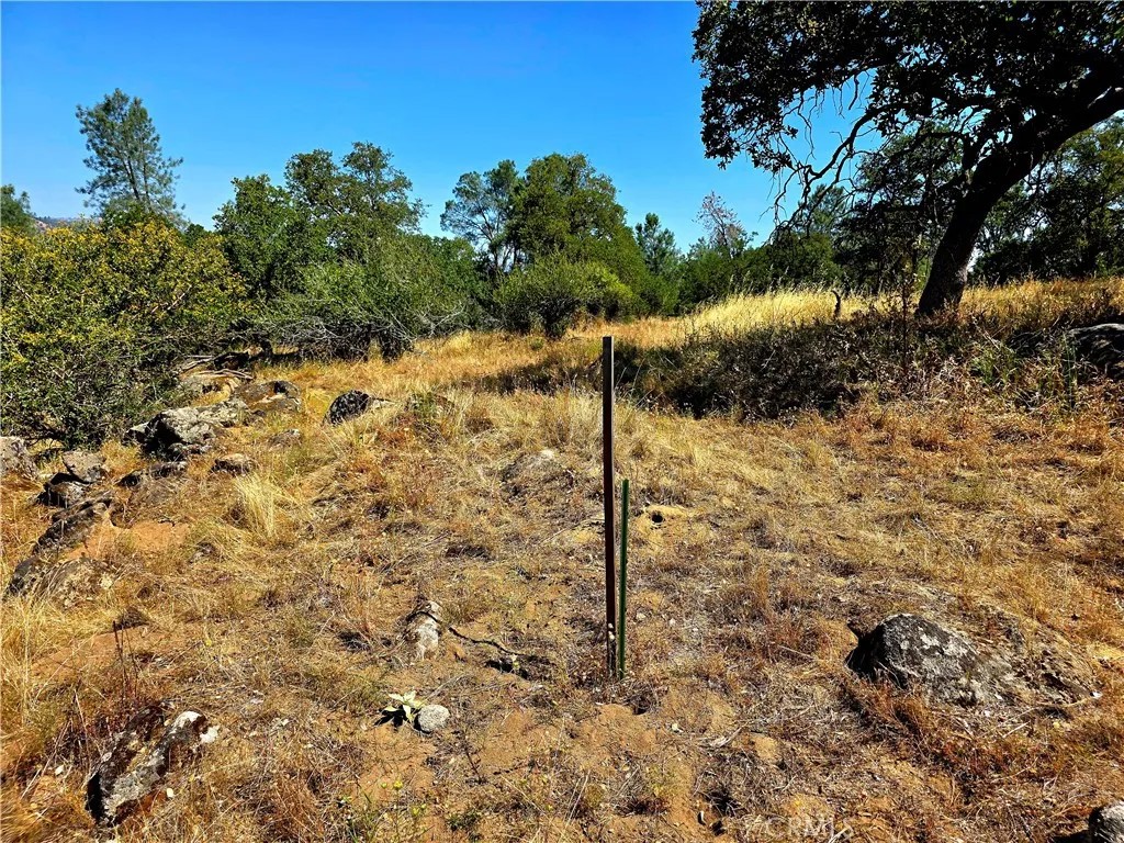 2 Corral
