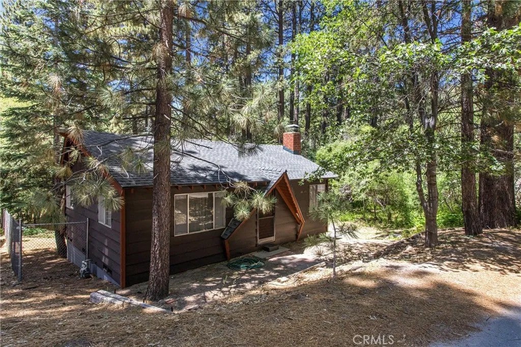 33471 Weeping Willow