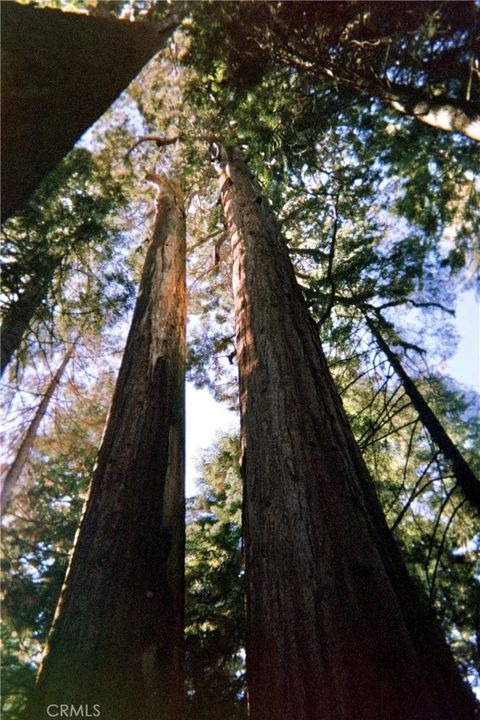 Photo of 54584 Ponderosa Dr, Springville, CA 93265 (MLS # OC25275569)