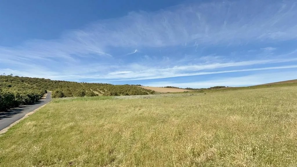 0 Via Puerta Del Sol