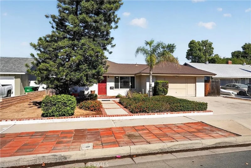 425 Blackpine