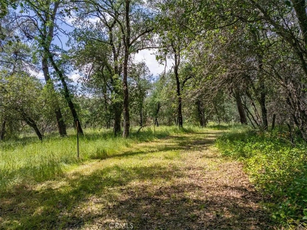 Photo of 506 Black Canyon, Shasta Lake, CA 96019 (MLS # SN26092357)