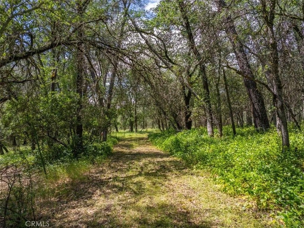Photo of 506 Black Canyon, Shasta Lake, CA 96019 (MLS # SN26092357)