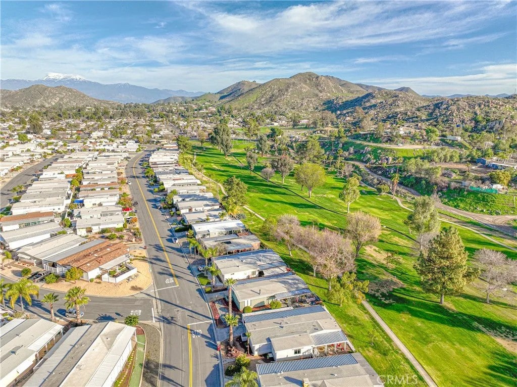 30760 Paradise Palm