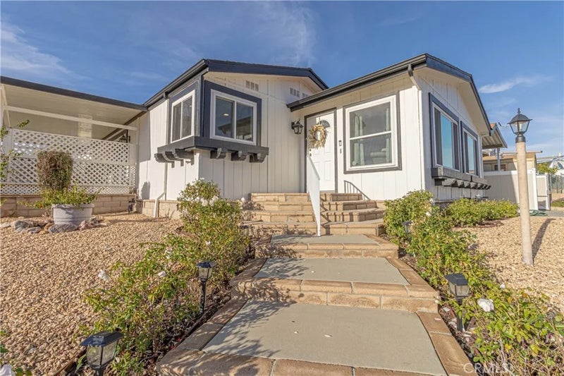 30760 Paradise Palm