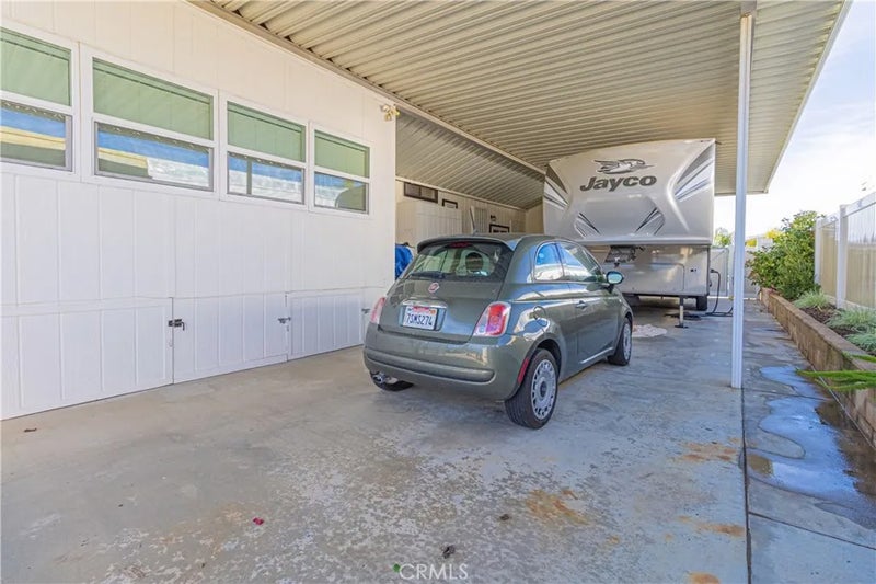 30760 Paradise Palm