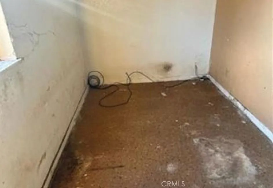 1153 Cedar