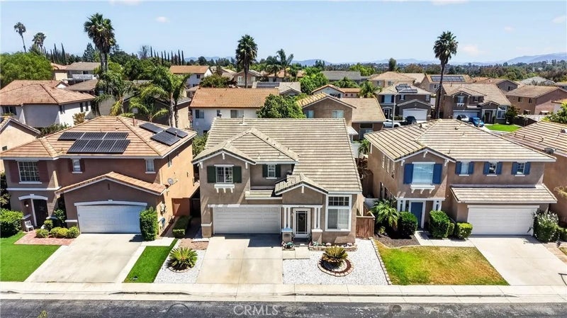 42124 Orange Blossom